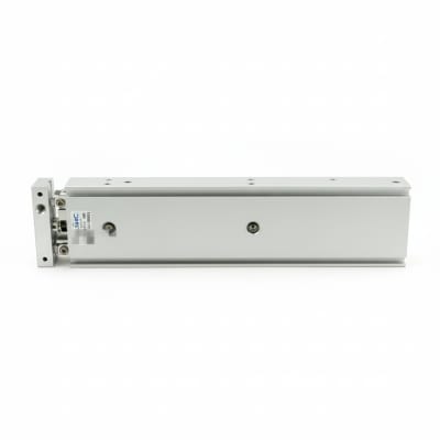 SMC CXSM20-175-XB11