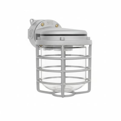 RAB LIGHTING VXBR100DG