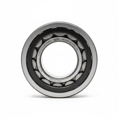 SCHAEFFLER GROUP NJ2313-E-TVP2-C3