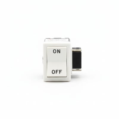 CARLING SWITCH G31-429