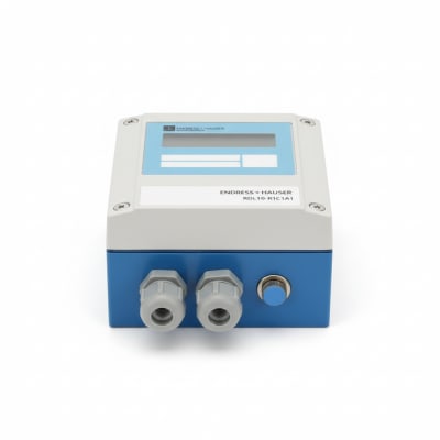 ENDRESS & HAUSER RDL10-R1C1A1