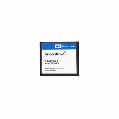 WESTERN DIGITAL SSD-C01G-4600