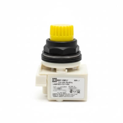 SCHNEIDER ELECTRIC 9001-SKP1LY7