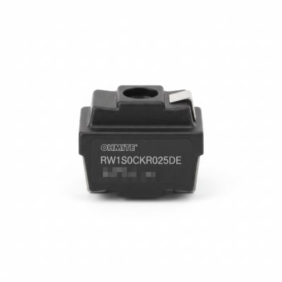 OHMITE RW1S0CKR025DE