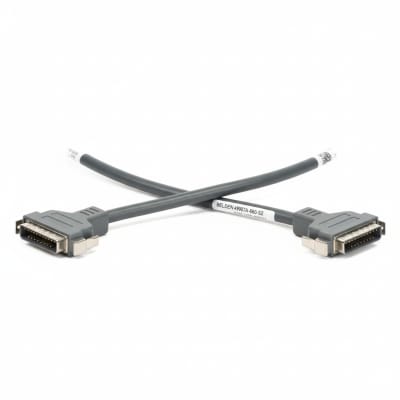 BELDEN 49907A-060-S2