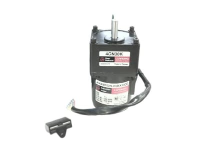 LUYANG MACH ELEC CO 4IK25RGN-C(BX1) + 4GN30K