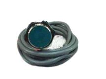 BAUMER ELECTRIC 10119324