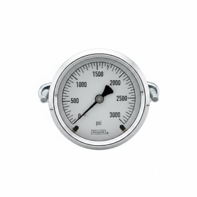 NOSHOK 25-310-400-PSI/KPA-CBU-GY40-BT8