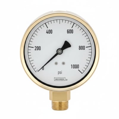 NOSHOK 25-310-400-PSI/KPA-GY40-BT8