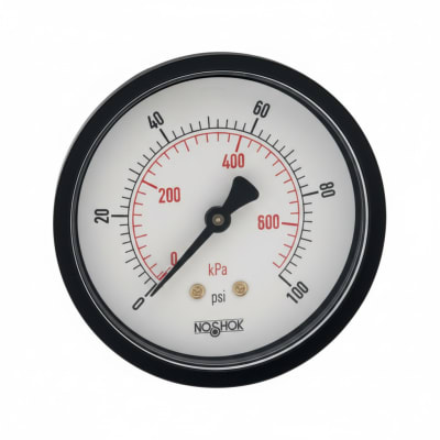 NOSHOK 25-110-30-PSI/KPA-BLFF-BP3