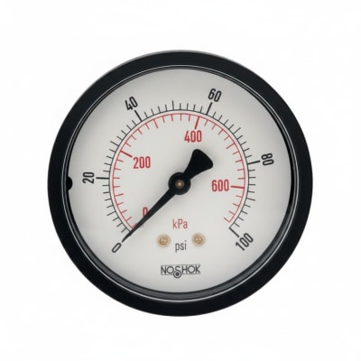 NOSHOK 25-110-160-PSI/KPA-PMC-CC