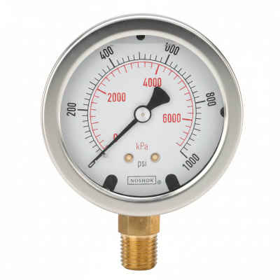 NOSHOK 25-300-15000-PSI-BFF-MIP-CC