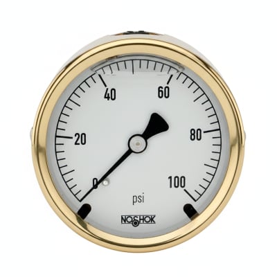 NOSHOK 25-310-400-PSI/KPA-BFF-BT8