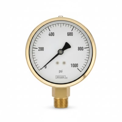 NOSHOK 25-310-400-PSI/KG/CM2-MIP-BFF