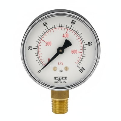 NOSHOK 15-110-160-PSI/KG/CM2-PMC