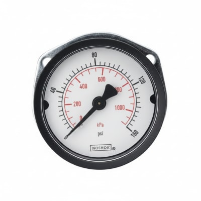 NOSHOK 20-110-300-PSI/BAR-SSB-BP3-CC