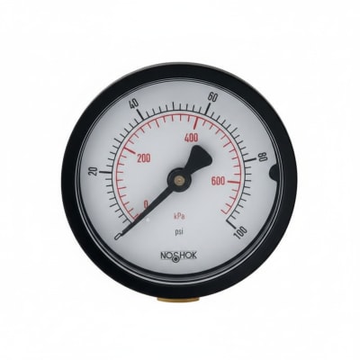 NOSHOK 20-110-300-PSI/BAR-SSB-PMC-CC