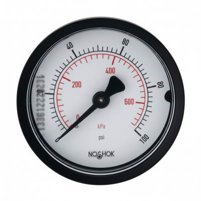 NOSHOK 20-110-300-PSI/BAR-SSB-CC