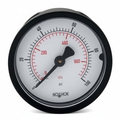 NOSHOK 20-110-300-PSI/KPA-SSB