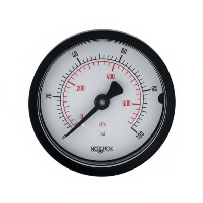 NOSHOK 20-110-300-PSI/KPA-PMC-CC