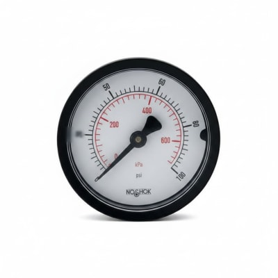 NOSHOK 20-110-300-PSI/KPA-SSB-BP3