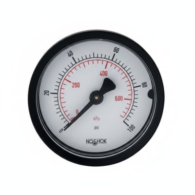 NOSHOK 20-110-300-PSI/KPA-PMC-BP3