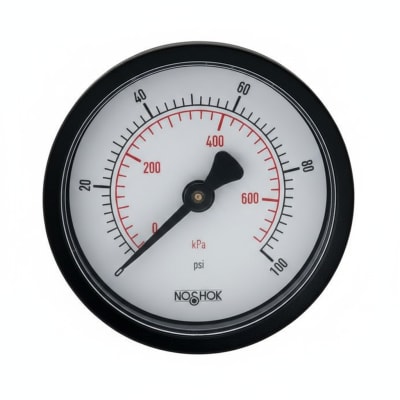 NOSHOK 20-110-60-PSI/KPA-1/8-SSB-PMC-BP3
