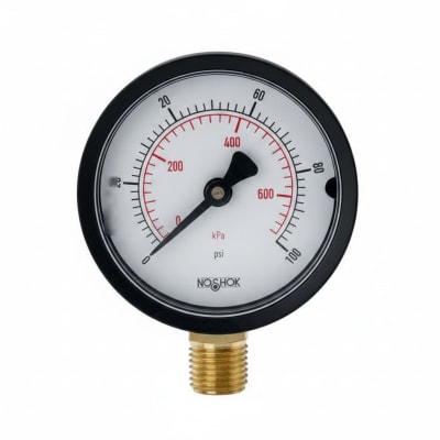 NOSHOK 20-110-60-PSI/KPA-1/8-SSB-CC