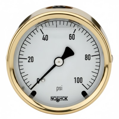 NOSHOK 25-310-400-PSI/KPA-MIP-CFF