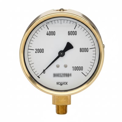 NOSHOK 40-100-STEEL-CASE