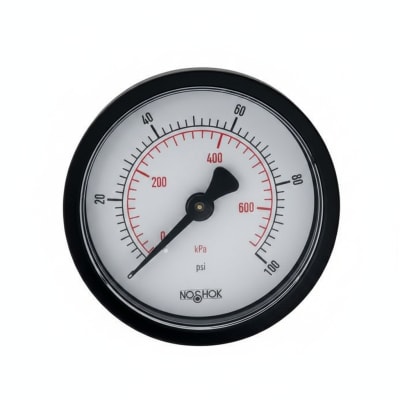 NOSHOK 20-110-60-PSI/KG/CM2-SSB-CC