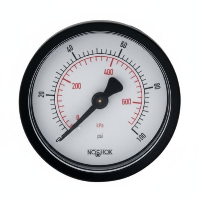 NOSHOK 20-110-60-PSI/KG/CM2-SSB-PMC-CC