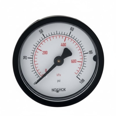 NOSHOK 20-110-60-PSI/KG/CM2-SSB-BP3
