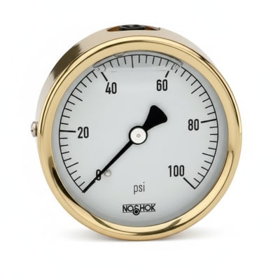 NOSHOK 20-100-200-PSI/KPA-1/8-BP3