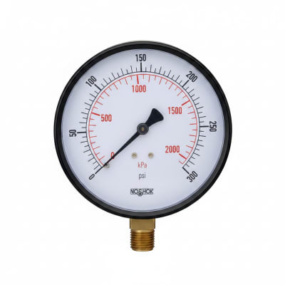NOSHOK 25-110-100-PSI/BAR-BLFF-BP3
