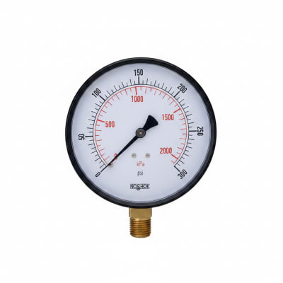 NOSHOK 25-110-100-PSI/BAR-BLFF-CC