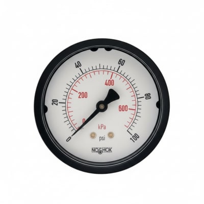 NOSHOK 25-110-6000-PSI/KPA-BLFF