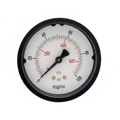 NOSHOK 25-110-6000-PSI/KPA-BP3