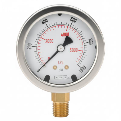 NOSHOK 25-901-3000-PSI/BAR-DRY-RCP