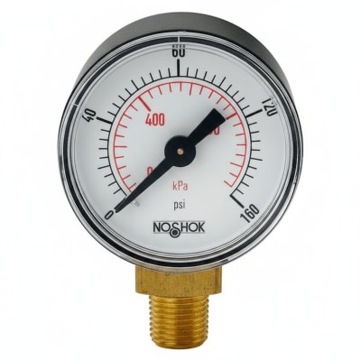 NOSHOK 15-110-60-PSI/KPA-O2