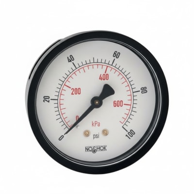 NOSHOK 25-110-100-PSI/BAR-SSB-BP3