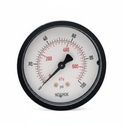 NOSHOK 25-110-160-PSI/KPA-SSB-PMC