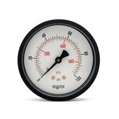 NOSHOK 25-110-160-PSI/KPA-SSB-PMC-BP3