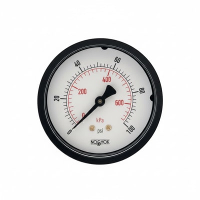 NOSHOK 25-110-6000-PSI/KPA-SSB-BP3-CC