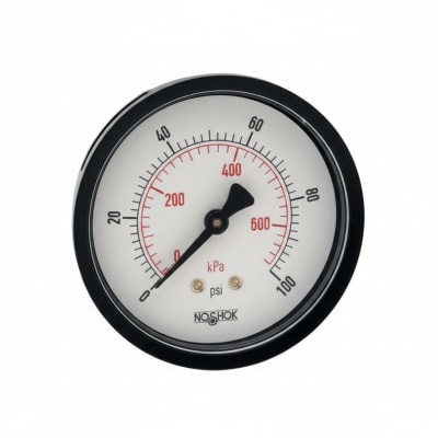 NOSHOK 25-110-100-PSI/BAR-SSB-BP3-CC