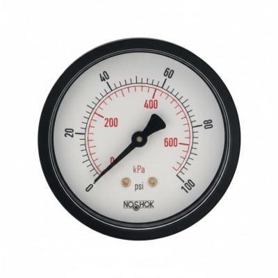 NOSHOK 25-110-160-PSI/KPA-SSB-CC