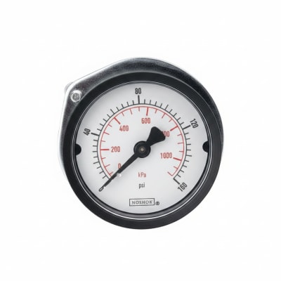 NOSHOK 25-110-6000-PSI/KPA-SSB-CC