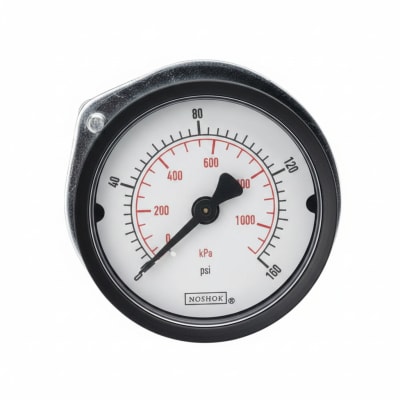 NOSHOK 25-110-30-PSI/KPA-SSB-BP3