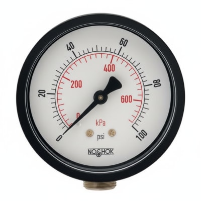 NOSHOK 25-110-6000-PSI/KPA-SSB-BP3