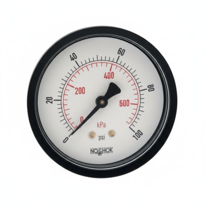 NOSHOK 25-110-100-PSI/KG/CM2-PMC-BP3
